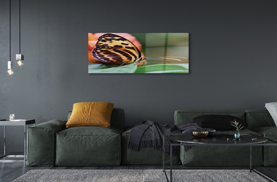 Quadro de vidro Borboleta