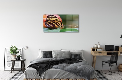 Quadro de vidro Borboleta