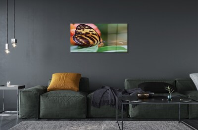 Quadro de vidro Borboleta