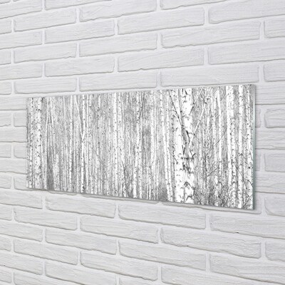 Quadro de vidro Árvores florestais em preto e branco
