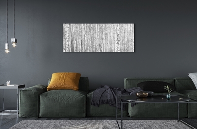 Quadro de vidro Árvores florestais em preto e branco