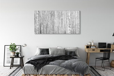 Quadro de vidro Árvores florestais em preto e branco