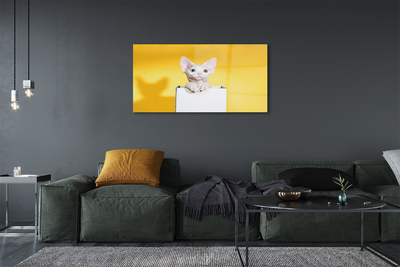 Pintura em vidro Gato sentado