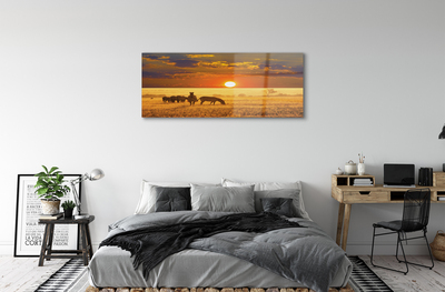 Quadro de vidro Nuvens de pôr do sol zebra