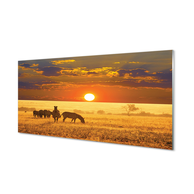 Quadro de vidro Nuvens de pôr do sol zebra