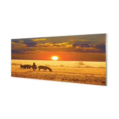 Quadro de vidro Nuvens de pôr do sol zebra