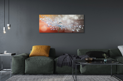 Quadro de vidro Macro de gotas de dente-de-leão