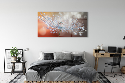 Quadro de vidro Macro de gotas de dente-de-leão