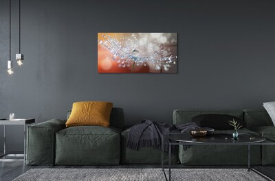 Quadro de vidro Macro de gotas de dente-de-leão