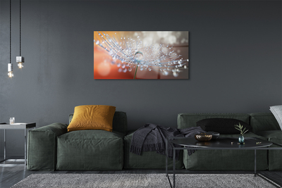 Quadro de vidro Macro de gotas de dente-de-leão