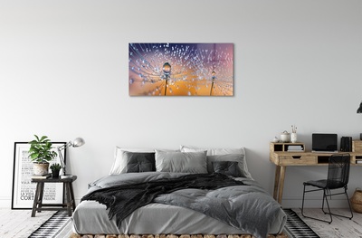 Pintura em vidro Macro de gotas de dente-de-leão