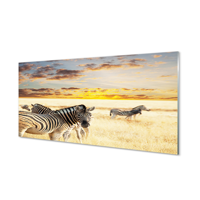 Pintura em vidro Pôr do sol no campo de zebras