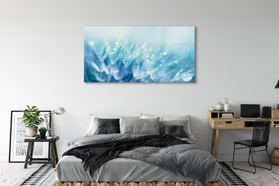 Quadro de vidro Resumo de gotas de dente-de-leão