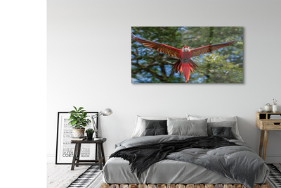 Pintura em vidro papagaio arara