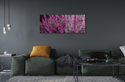 Quadro de vidro Campo de urze