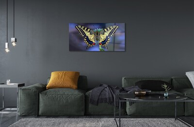 Quadro de vidro Borboleta em uma flor