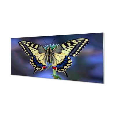 Quadro de vidro Borboleta em uma flor