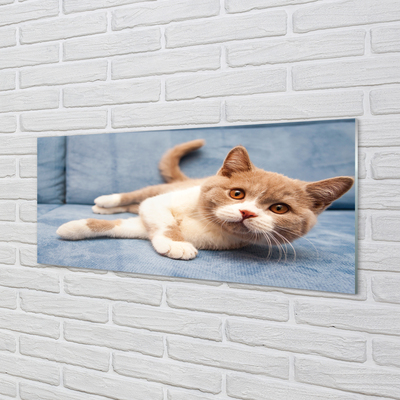 Quadro de vidro Gato deitado