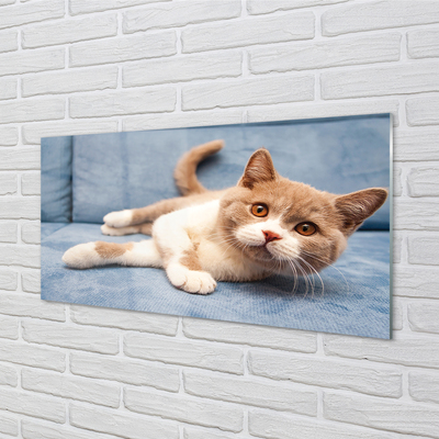 Quadro de vidro Gato deitado