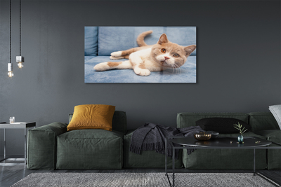 Quadro de vidro Gato deitado
