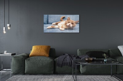 Quadro de vidro Gato deitado