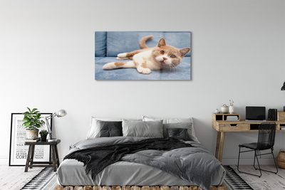 Quadro de vidro Gato deitado