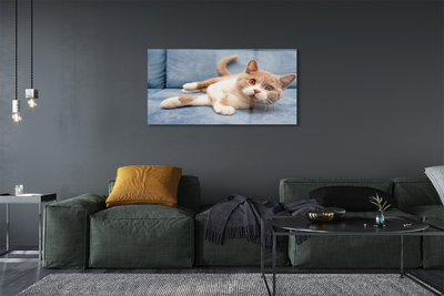 Quadro de vidro Gato deitado