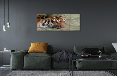 Pintura em vidro Floresta do Tigre