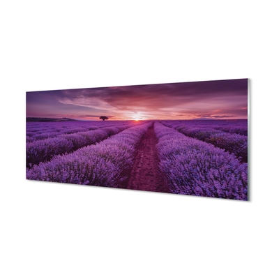 Pintura em vidro Campo de urze