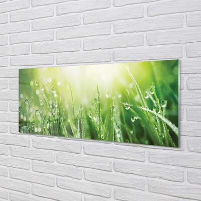 Pintura em vidro Gotas, grama, sol