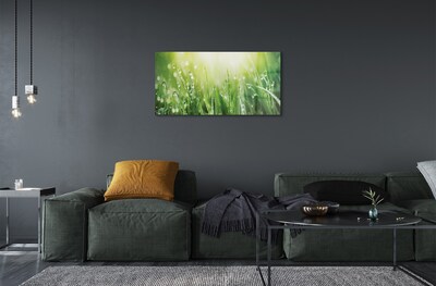 Pintura em vidro Gotas, grama, sol