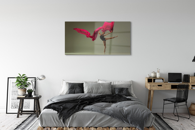 Quadro de vidro Tecido rosa bailarina