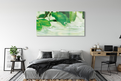 Pintura em vidro Gotas de folhas de água