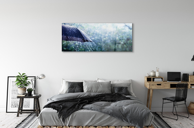 Quadro de vidro Gotas de chuva de guarda-chuva