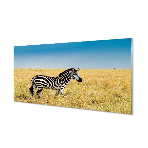 Quadro de vidro Campo de zebras