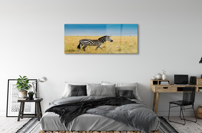 Quadro de vidro Campo de zebras
