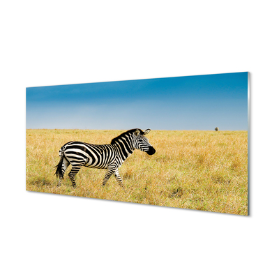 Quadro de vidro Campo de zebras