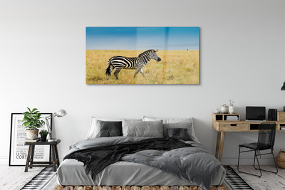 Quadro de vidro Campo de zebras