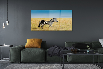 Quadro de vidro Campo de zebras