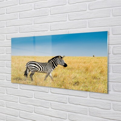 Quadro de vidro Campo de zebras