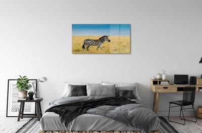 Quadro de vidro Campo de zebras