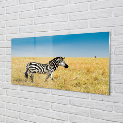 Quadro de vidro Campo de zebras