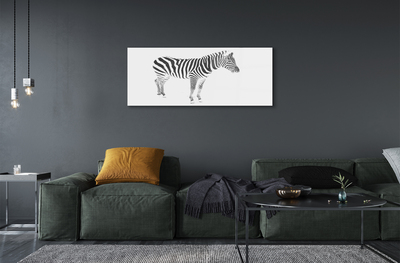 Pintura em vidro zebra pintada