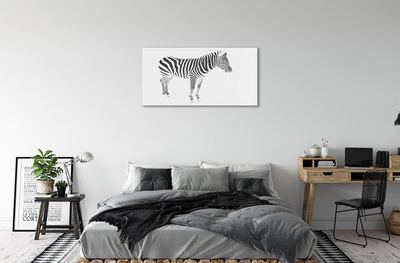 Pintura em vidro zebra pintada