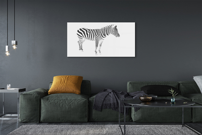 Pintura em vidro zebra pintada