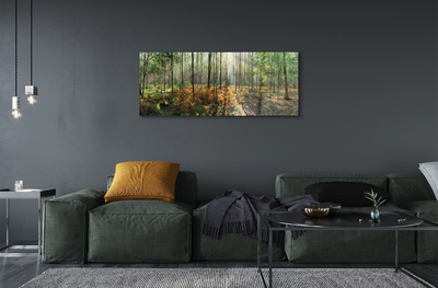 Quadro de vidro Floresta de bétulas