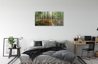 Quadro de vidro Floresta de bétulas