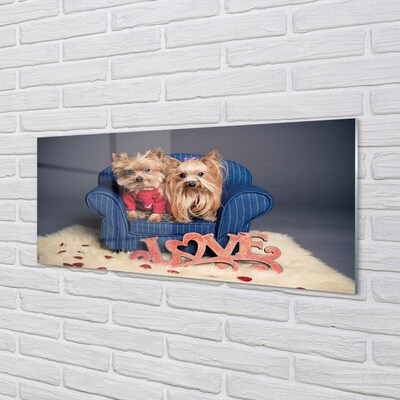 Quadro de vidro Yorkies