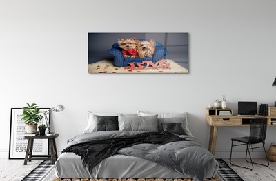 Quadro de vidro Yorkies