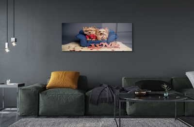 Quadro de vidro Yorkies